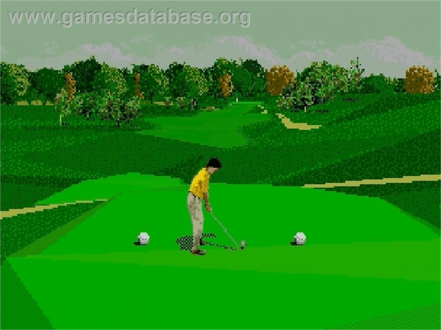 PGA Tour '96 - Sega Genesis - Artwork - In Game