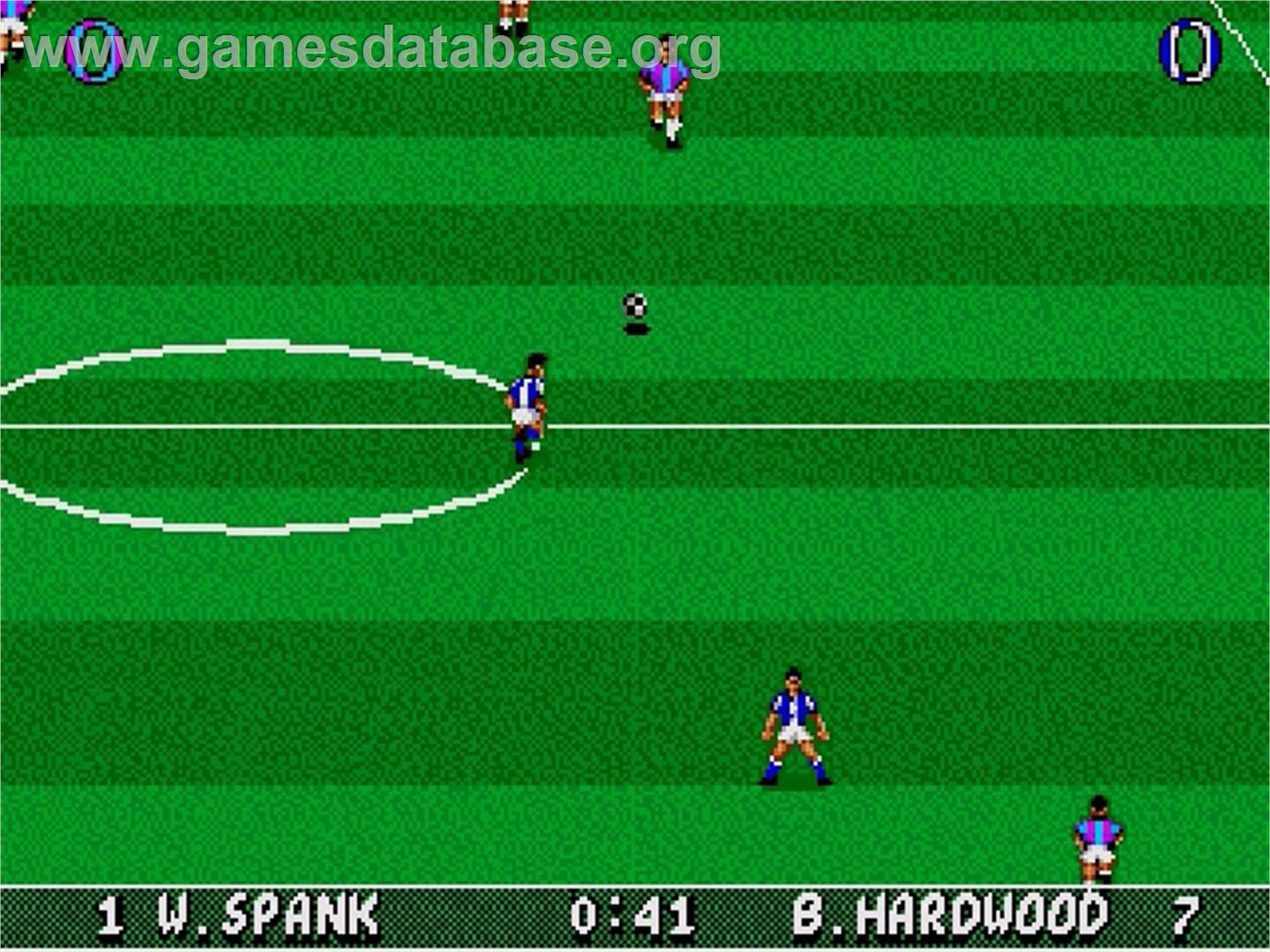 Striker - Sega Genesis - Artwork - In Game