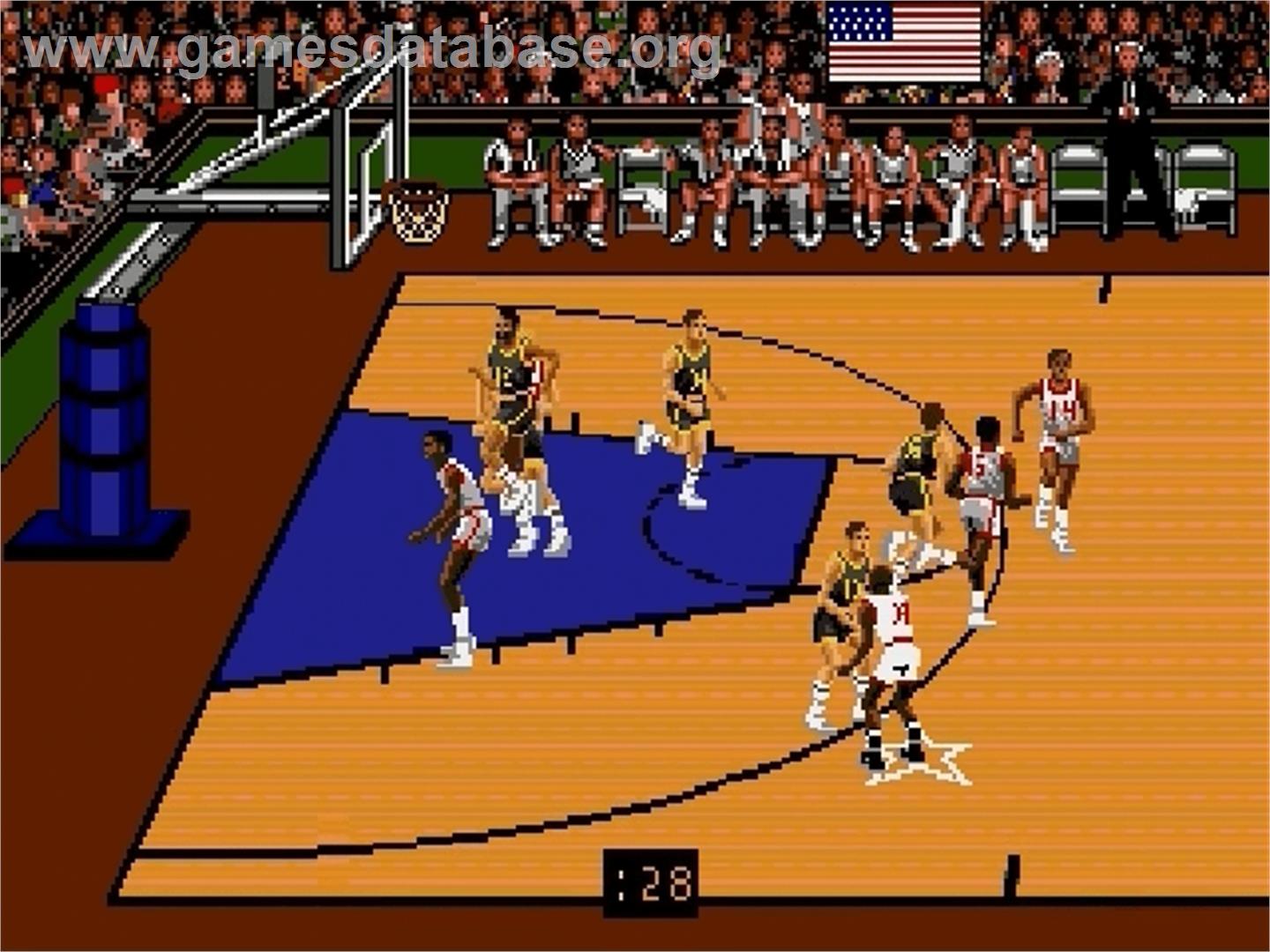Team USA Basketball - Sega Genesis - Artwork - In Game