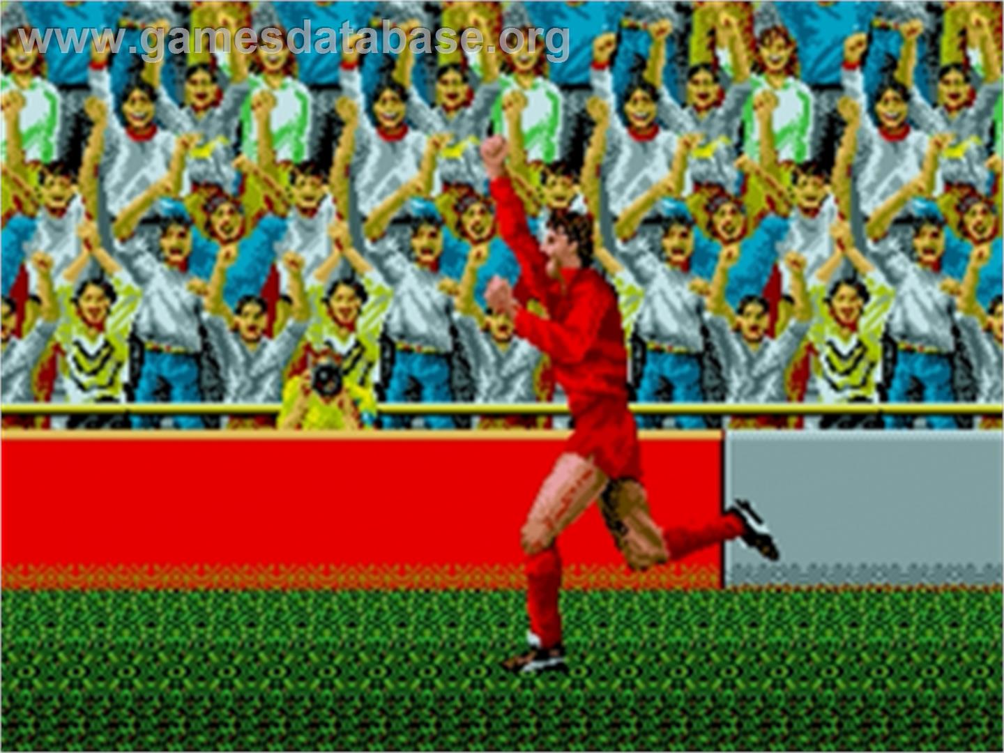 World Championship Soccer - Sega Genesis - Artwork - In Game