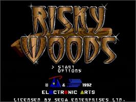 Title screen of Risky Woods on the Sega Genesis.