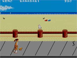 In game image of California Games on the Sega Master System.