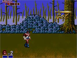 In game image of Golden Axe on the Sega Master System.