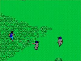 In game image of Ninja on the Sega Master System.