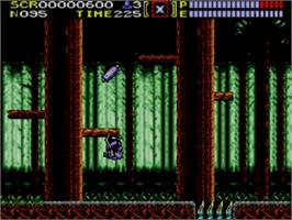 In game image of Ninja Gaiden on the Sega Master System.