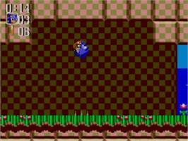 In game image of Sonic Chaos on the Sega Master System.