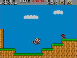 In game image of Wonder Boy in Monster Land on the Sega Master System.
