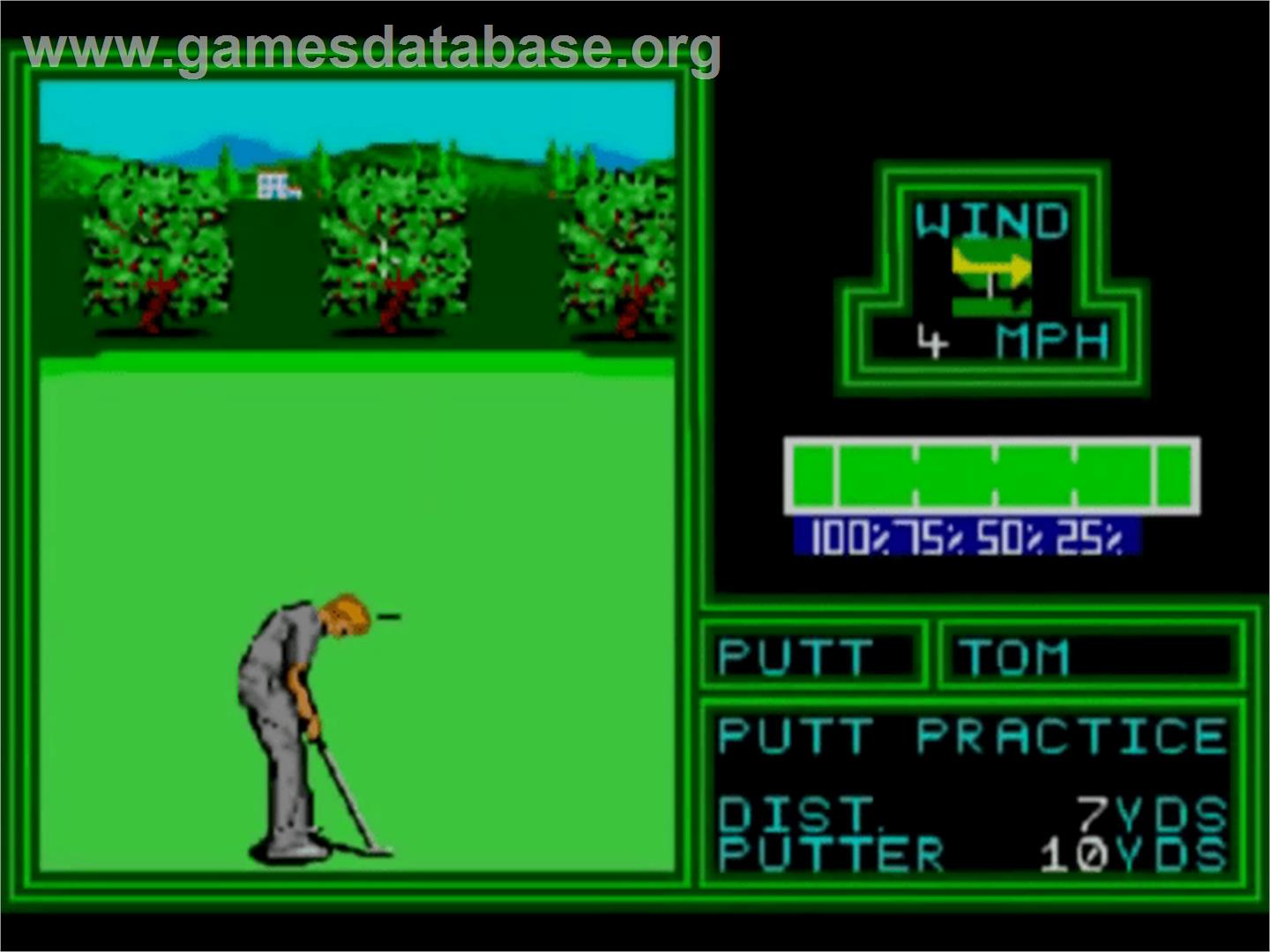 PGA Tour Golf - Sega Master System - Artwork - In Game