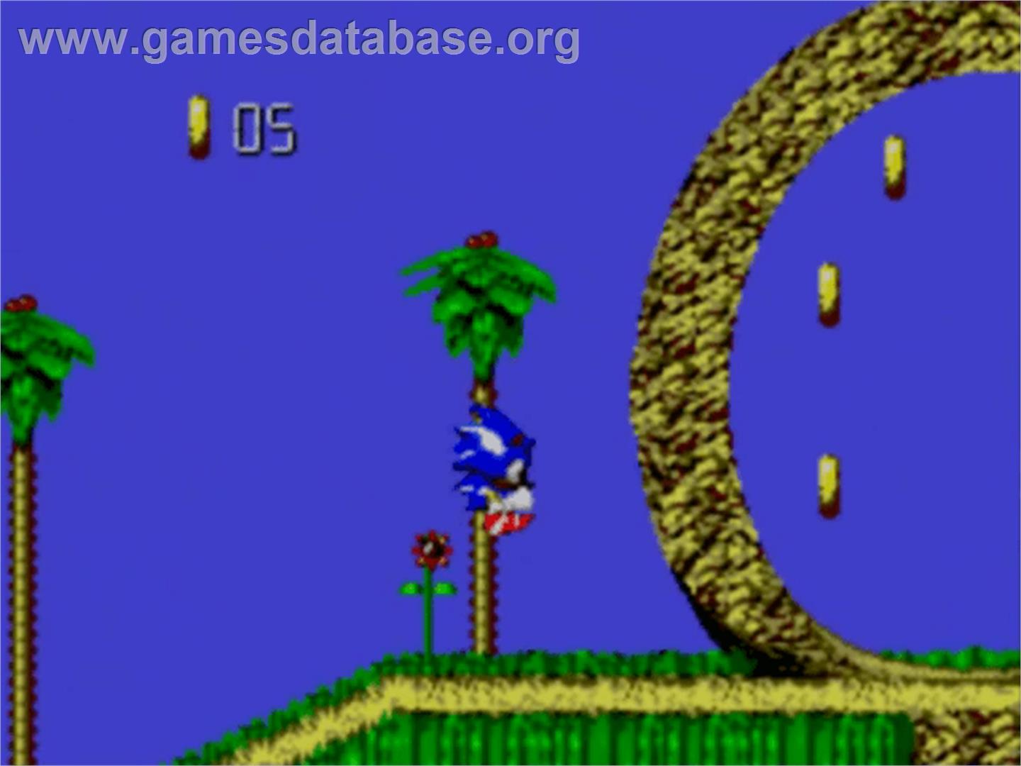 Sonic Blast - Sega Master System - Artwork - In Game