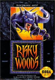 Box cover for Risky Woods on the Sega Nomad.