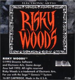 Cartridge artwork for Risky Woods on the Sega Nomad.