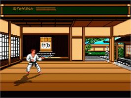 In game image of Budokan: The Martial Spirit on the Sega Nomad.