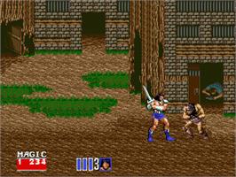 In game image of Golden Axe II on the Sega Nomad.