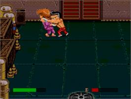 In game image of Ka•Ge•Ki: Fists of Steel on the Sega Nomad.