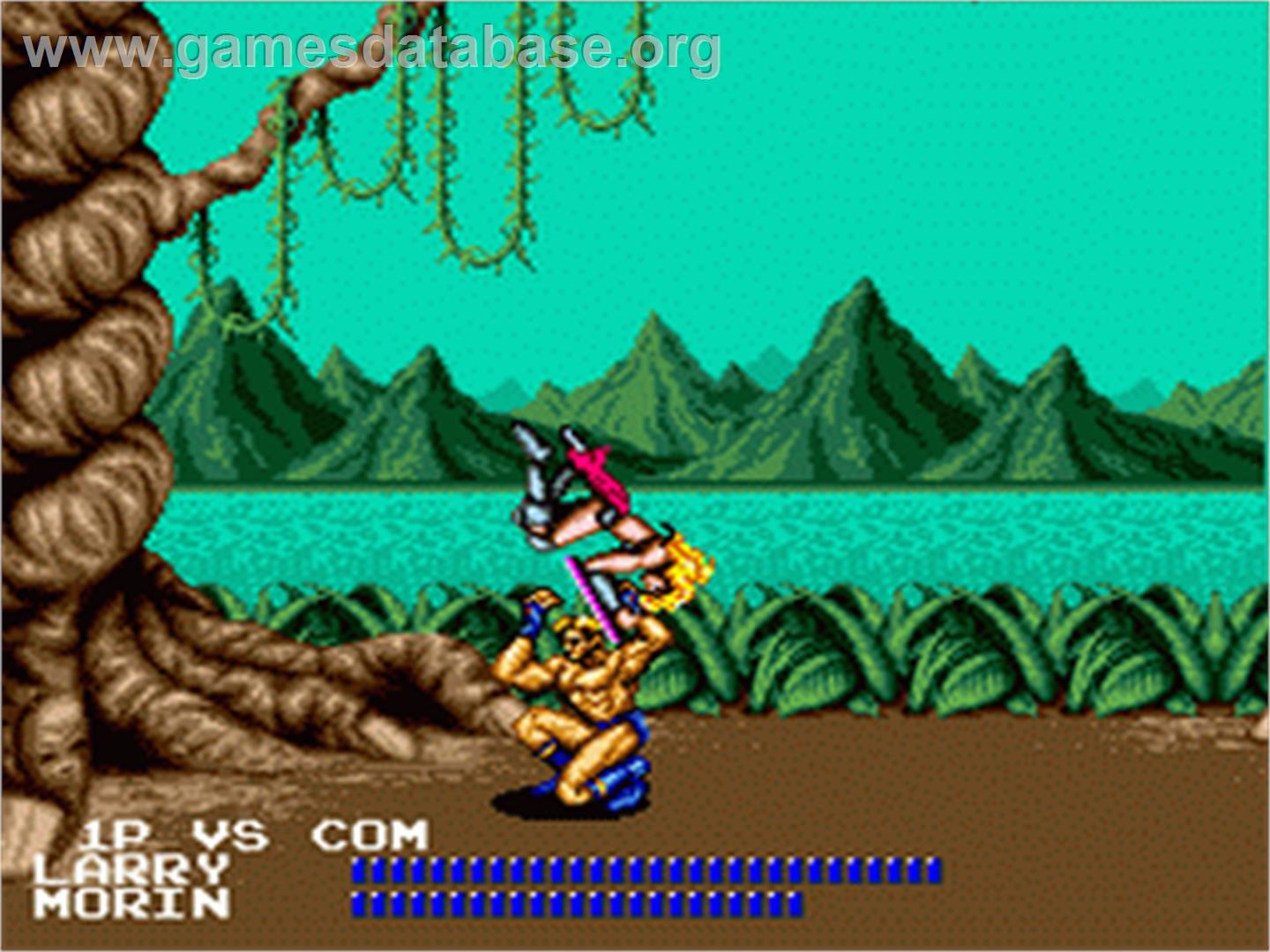 Fighting Masters - Sega Nomad - Artwork - In Game