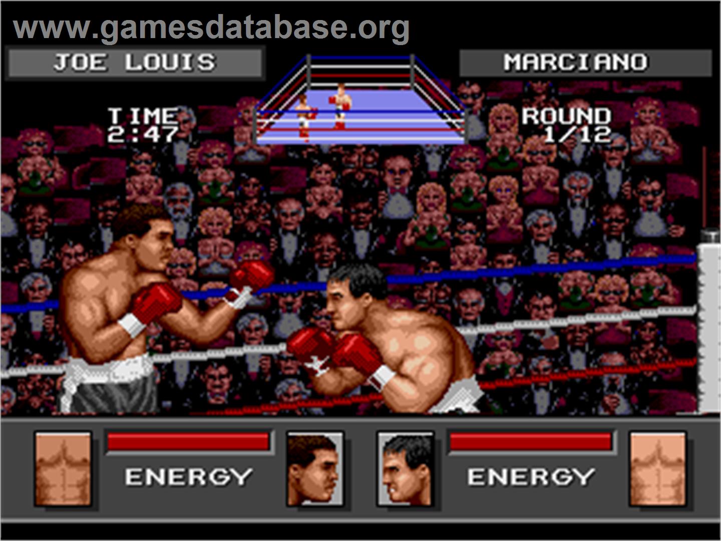 Greatest Heavyweights - Sega Nomad - Artwork - In Game