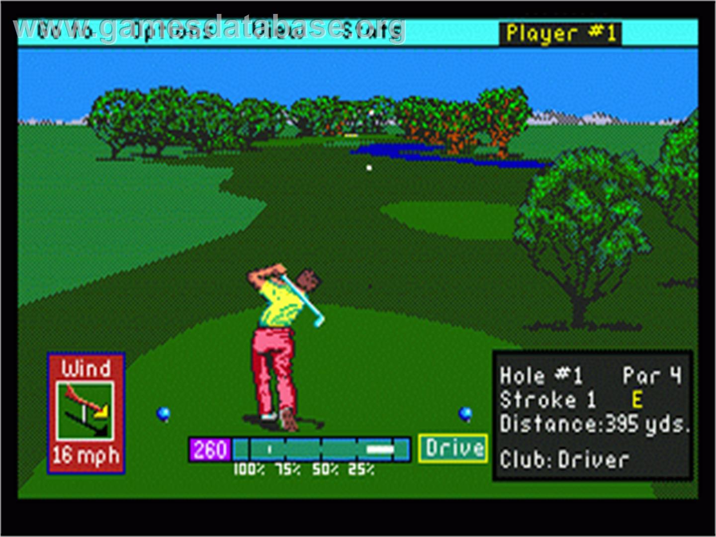 PGA Tour Golf - Sega Nomad - Artwork - In Game