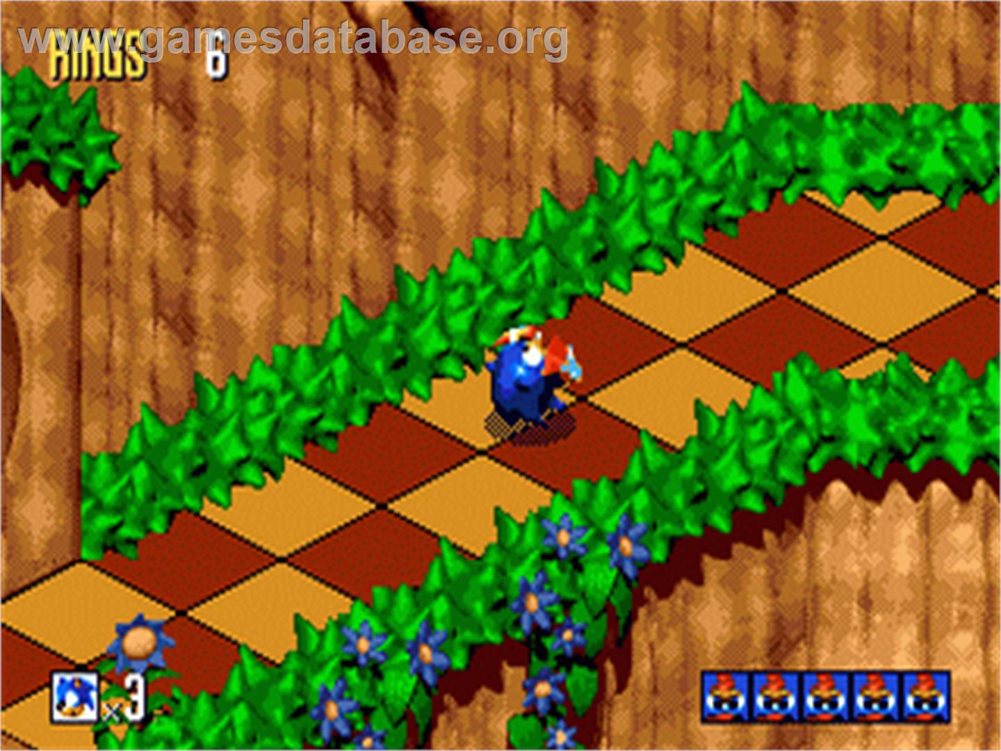 Sonic 3D Blast - Sega Nomad - Artwork - In Game