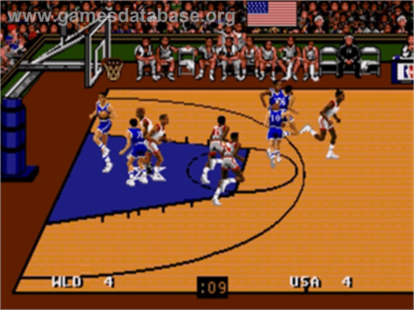 Team USA Basketball - Sega Nomad - Artwork - In Game