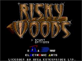 Title screen of Risky Woods on the Sega Nomad.