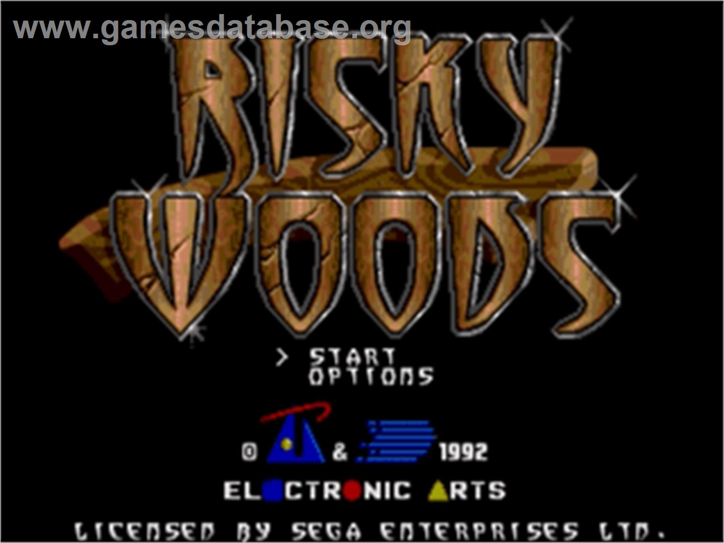 Risky Woods - Sega Nomad - Artwork - Title Screen