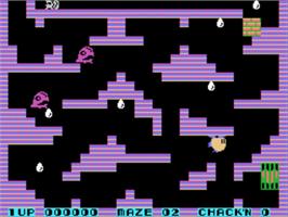 In game image of Chack'n Pop on the Sega SG-1000.