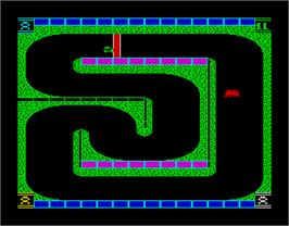 In game image of 3D Stock Cars II on the Sinclair ZX Spectrum.