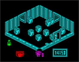 In game image of Attack of the Killer Tomatoes on the Sinclair ZX Spectrum.