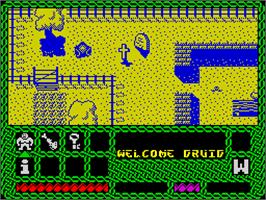 In game image of Druid II: Enlightenment on the Sinclair ZX Spectrum.