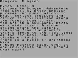 In game image of Dungeon Adventure on the Sinclair ZX Spectrum.