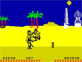In game image of Fighting Warrior on the Sinclair ZX Spectrum.