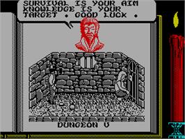 In game image of Knightmare on the Sinclair ZX Spectrum.