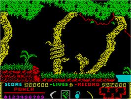 In game image of Livingstone Supongo 2 on the Sinclair ZX Spectrum.