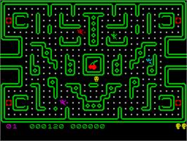 In game image of Muncher on the Sinclair ZX Spectrum.