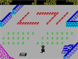 In game image of Pedro on the Sinclair ZX Spectrum.