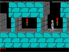 In game image of Prince of Persia on the Sinclair ZX Spectrum.