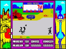 In game image of Road Runner on the Sinclair ZX Spectrum.
