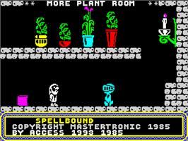 In game image of Spellbound on the Sinclair ZX Spectrum.
