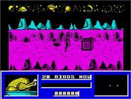In game image of Star Paws on the Sinclair ZX Spectrum.