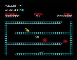 In game image of The Birds and the Bees II: Antics on the Sinclair ZX Spectrum.