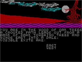 In game image of Wizards Spell on the Sinclair ZX Spectrum.