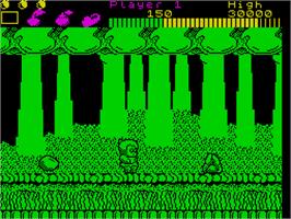 In game image of Wonder Boy on the Sinclair ZX Spectrum.