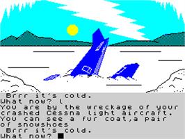 In game image of Wonder Boy in Monster Land on the Sinclair ZX Spectrum.