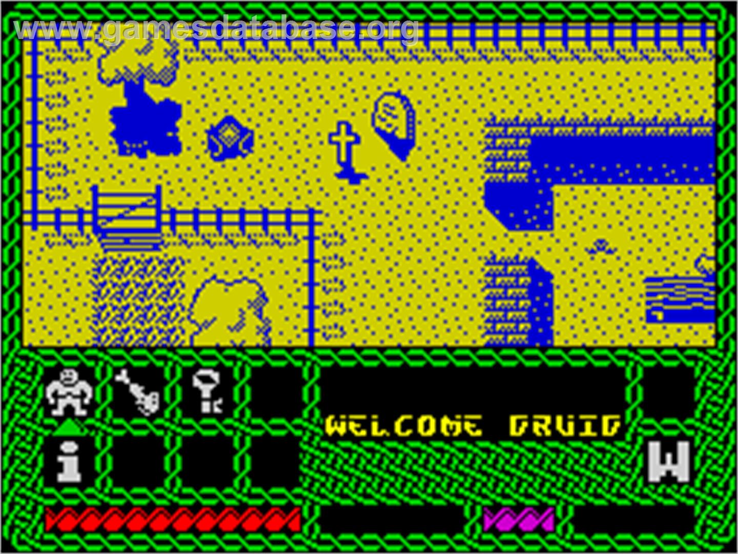 Druid II: Enlightenment - Sinclair ZX Spectrum - Artwork - In Game
