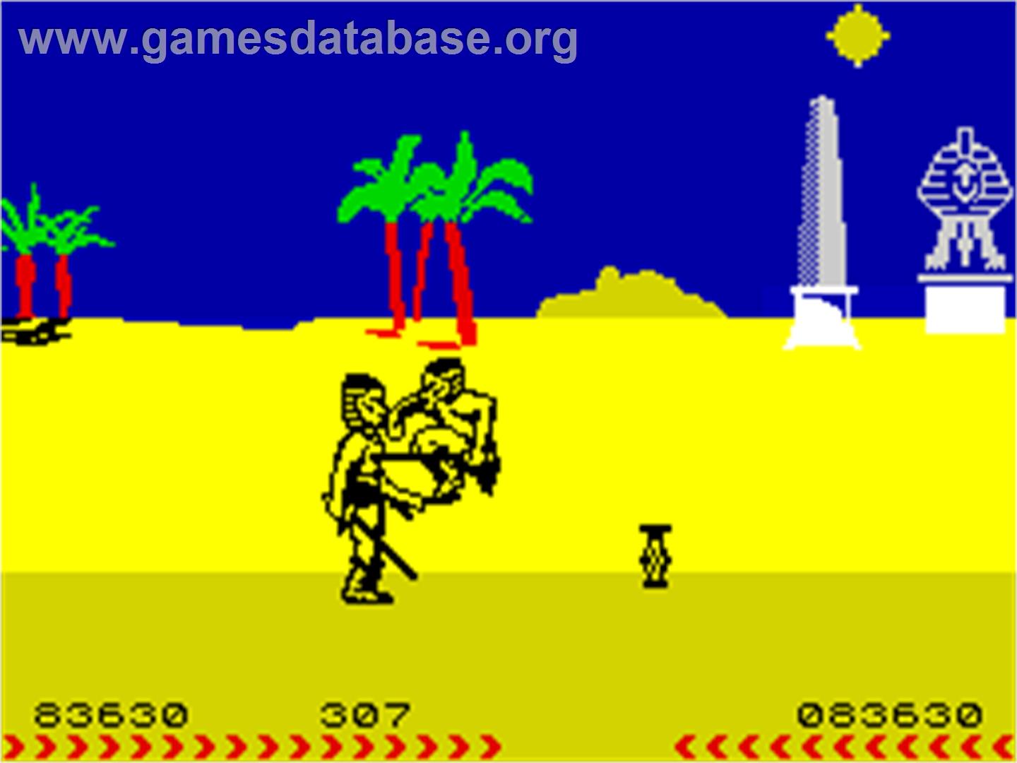 Fighting Warrior - Sinclair ZX Spectrum - Artwork - In Game