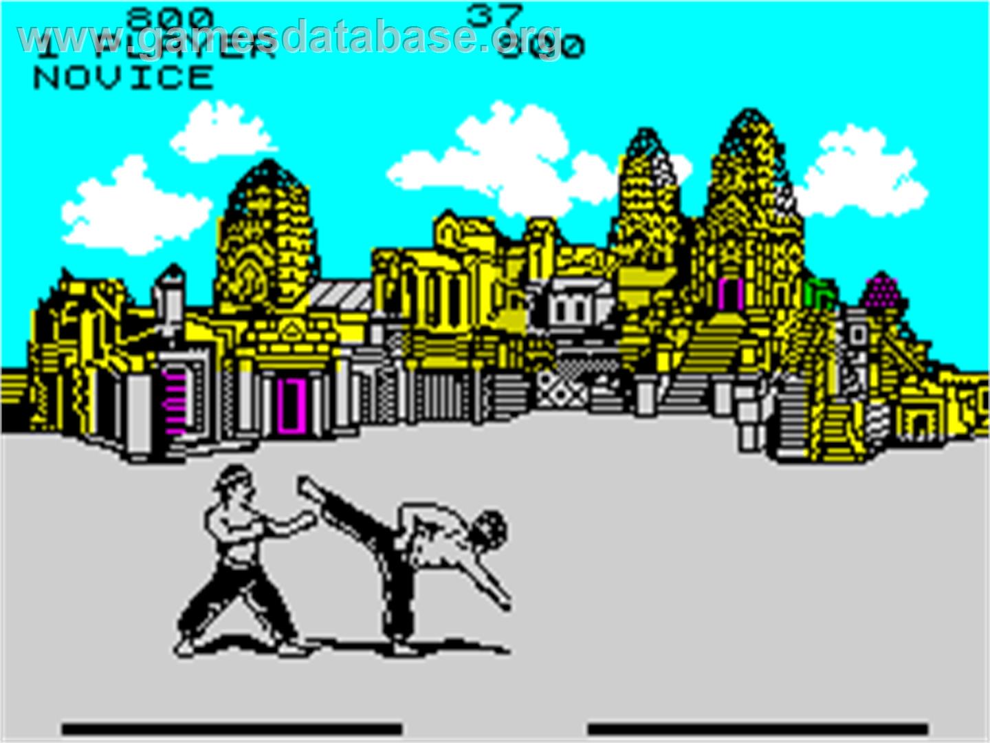 Fist II: The Legend Continues - Sinclair ZX Spectrum - Artwork - In Game