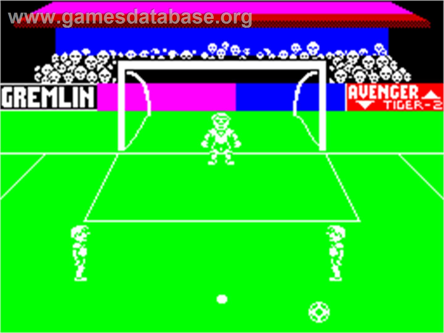 Footballer of the Year - Sinclair ZX Spectrum - Artwork - In Game