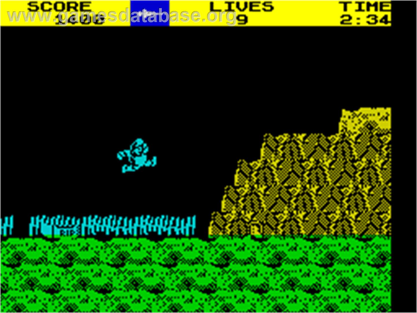 Ghosts 'N Goblins - Sinclair ZX Spectrum - Artwork - In Game
