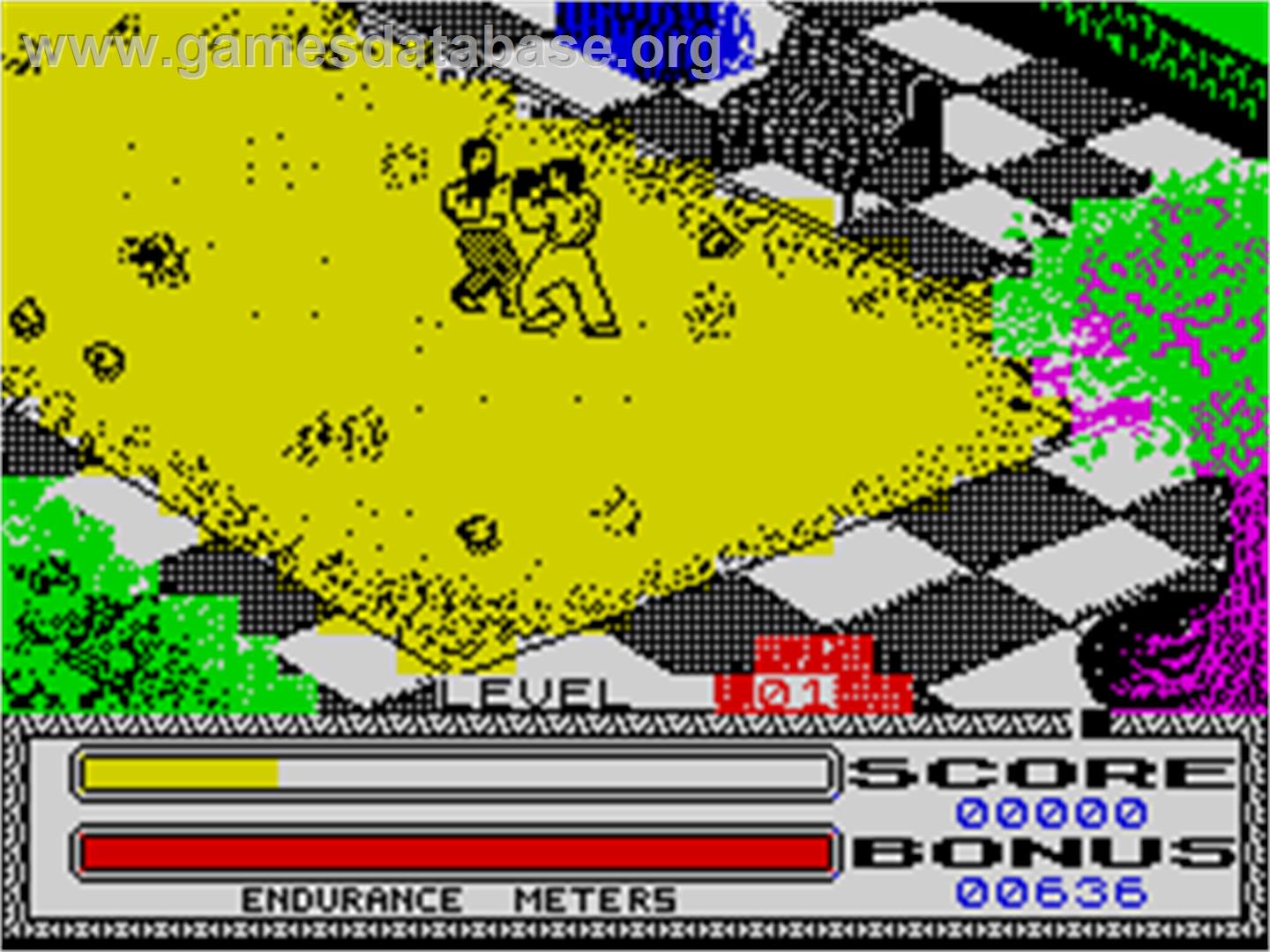 Kick Boxing - Sinclair ZX Spectrum - Artwork - In Game