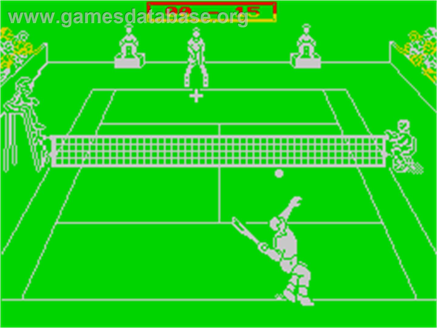 Pro Tennis Simulator - Sinclair ZX Spectrum - Artwork - In Game